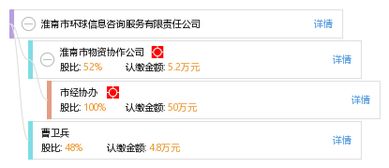 淮南市環(huán)球信息咨詢服務(wù)有限責(zé)任公司 專業(yè)信息咨詢服務(wù)的引領(lǐng)者